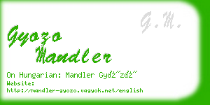 gyozo mandler business card